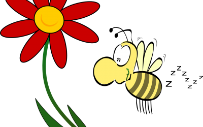 Welttag der BIENE – 20. Mai